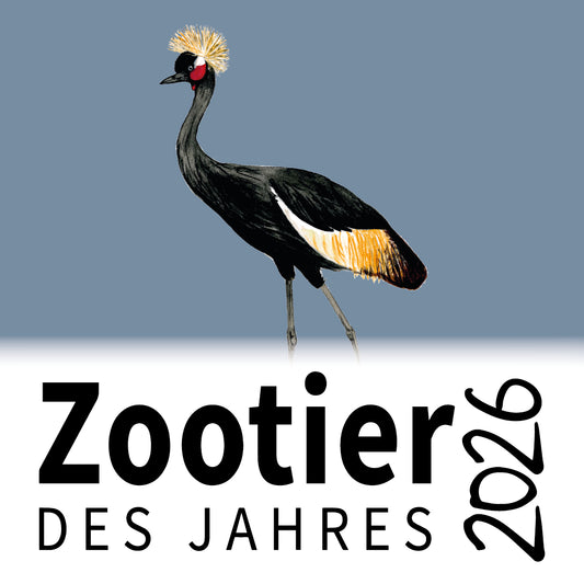 Black Crowned Crane Zootier des Jahres 2026