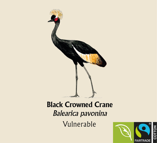 Black Crowned Crane Hoodie