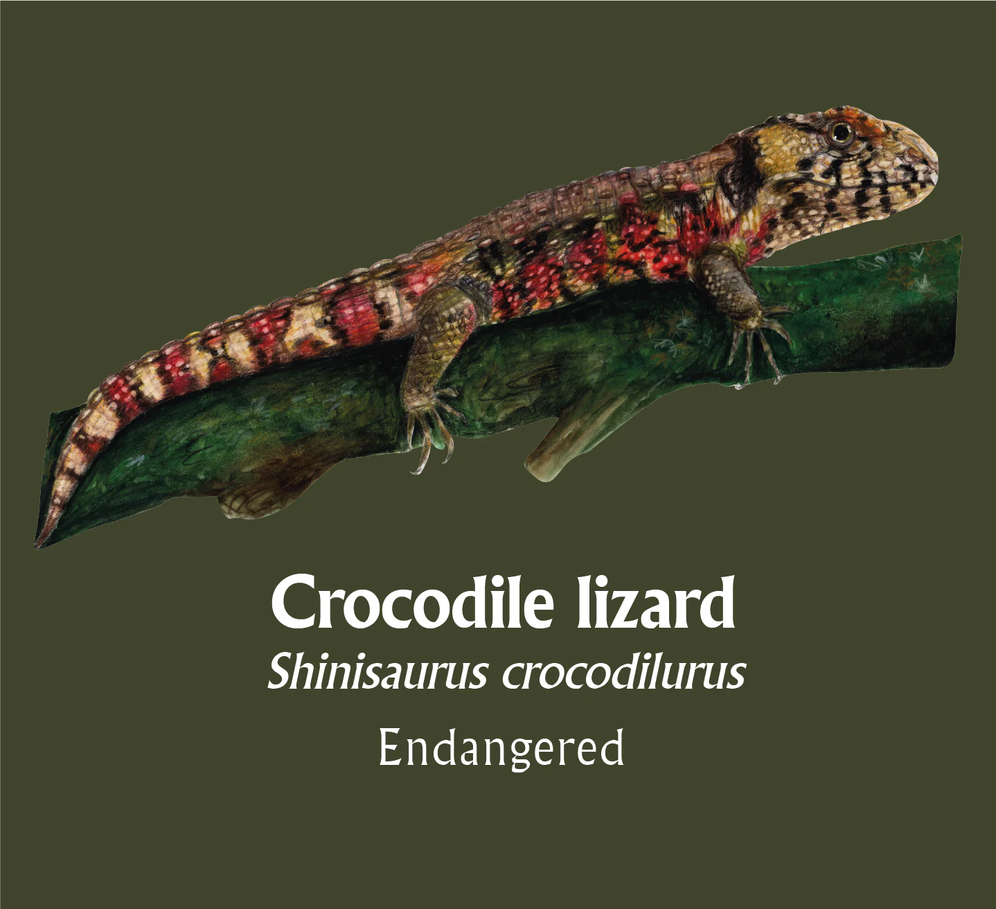 Crocodile Lizard T-Shirt