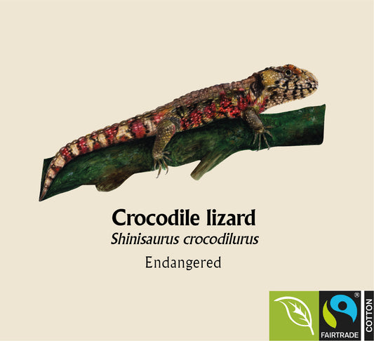 Crocodile Lizard Hoodie