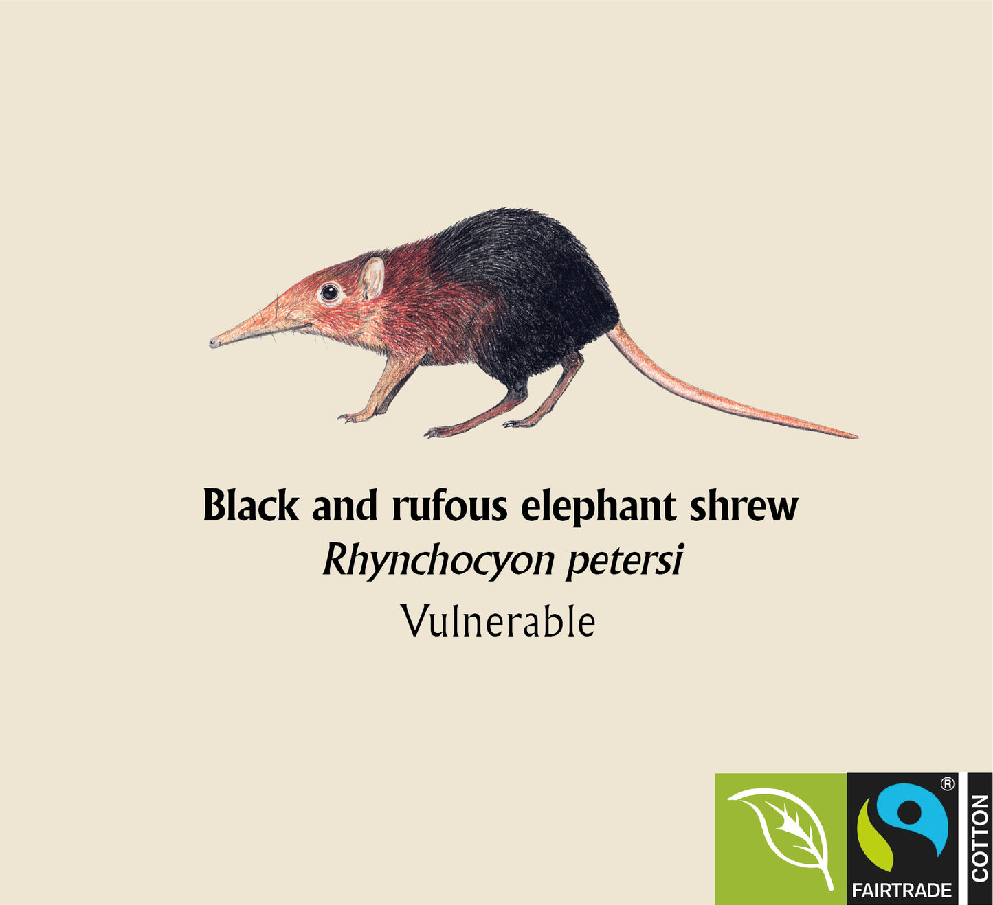 Black and rufous elephant shrew Hoodie