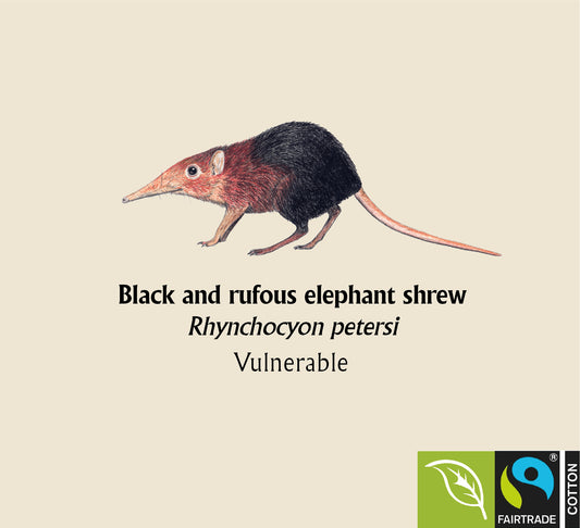 Black and rufous elephant shrew Hoodie