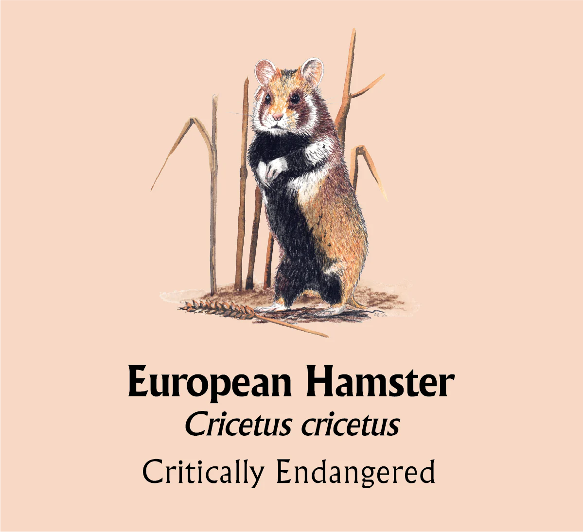 European Hamster T-Shirt