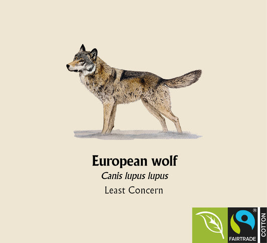 European Wolf Hoodie