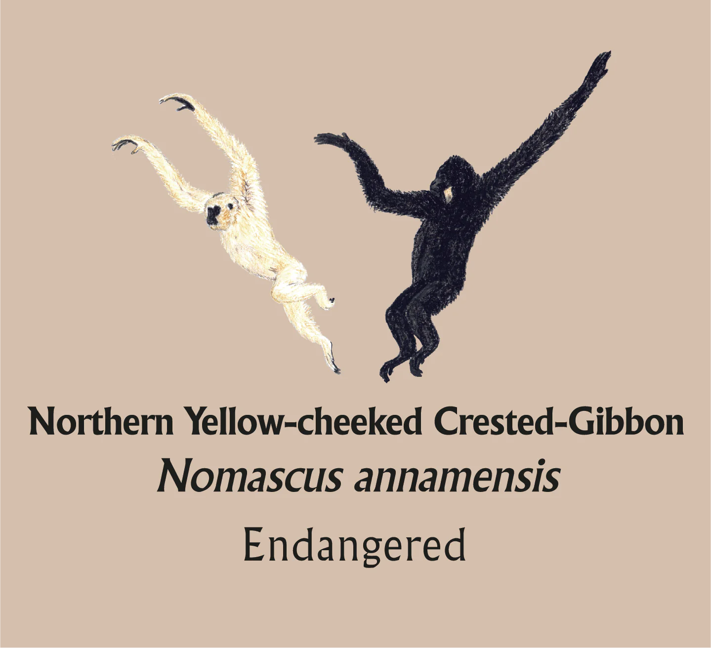 Northern Yellow-cheeked Crested-Gibbon T-Shirt