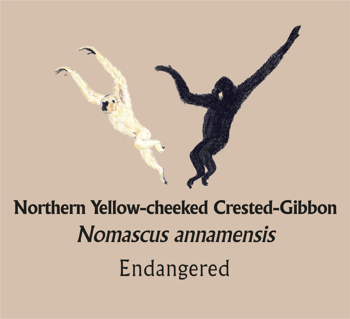 Northern Yellow-cheeked Crested-Gibbon T-Shirt