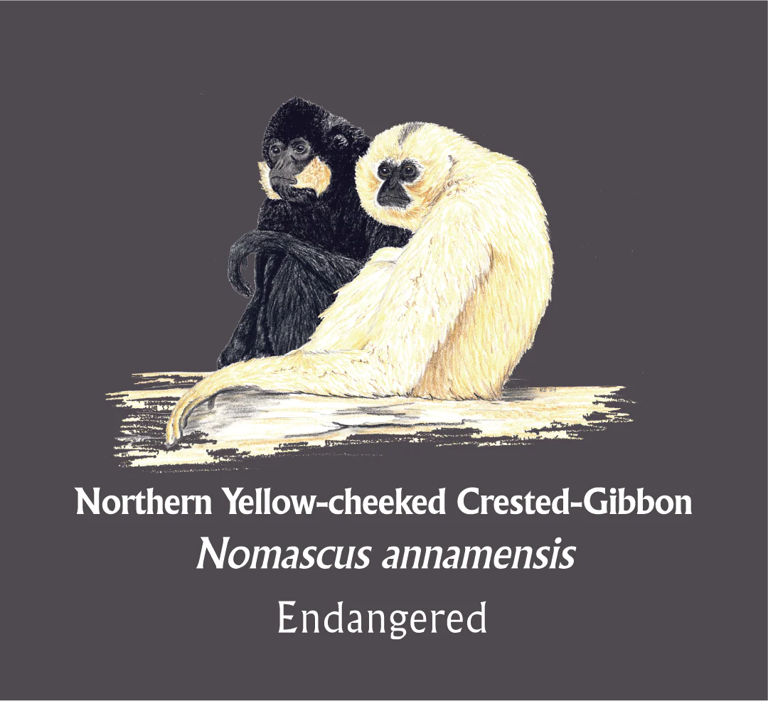 Northern Yellow-cheeked Crested-Gibbon (sitzend) T-Shirt