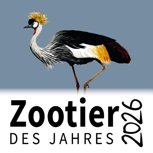 Grey Crowned Crane Zootier des Jahres 2026