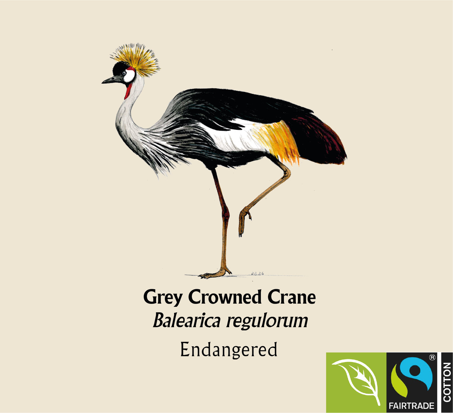Grey Crowned Crane Hoodie