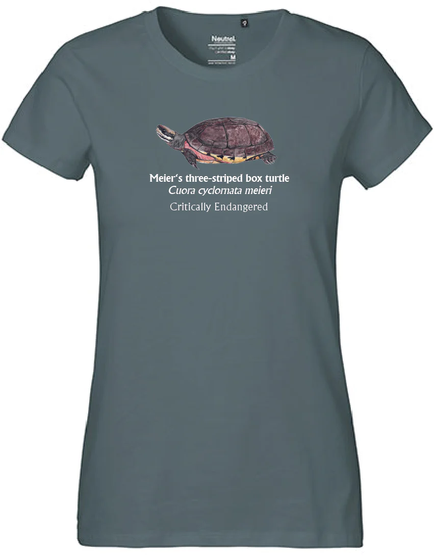 Meier's three-striped box turtle T-Shirt