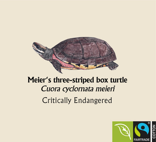 Meier's three-striped box turtle Hoodie