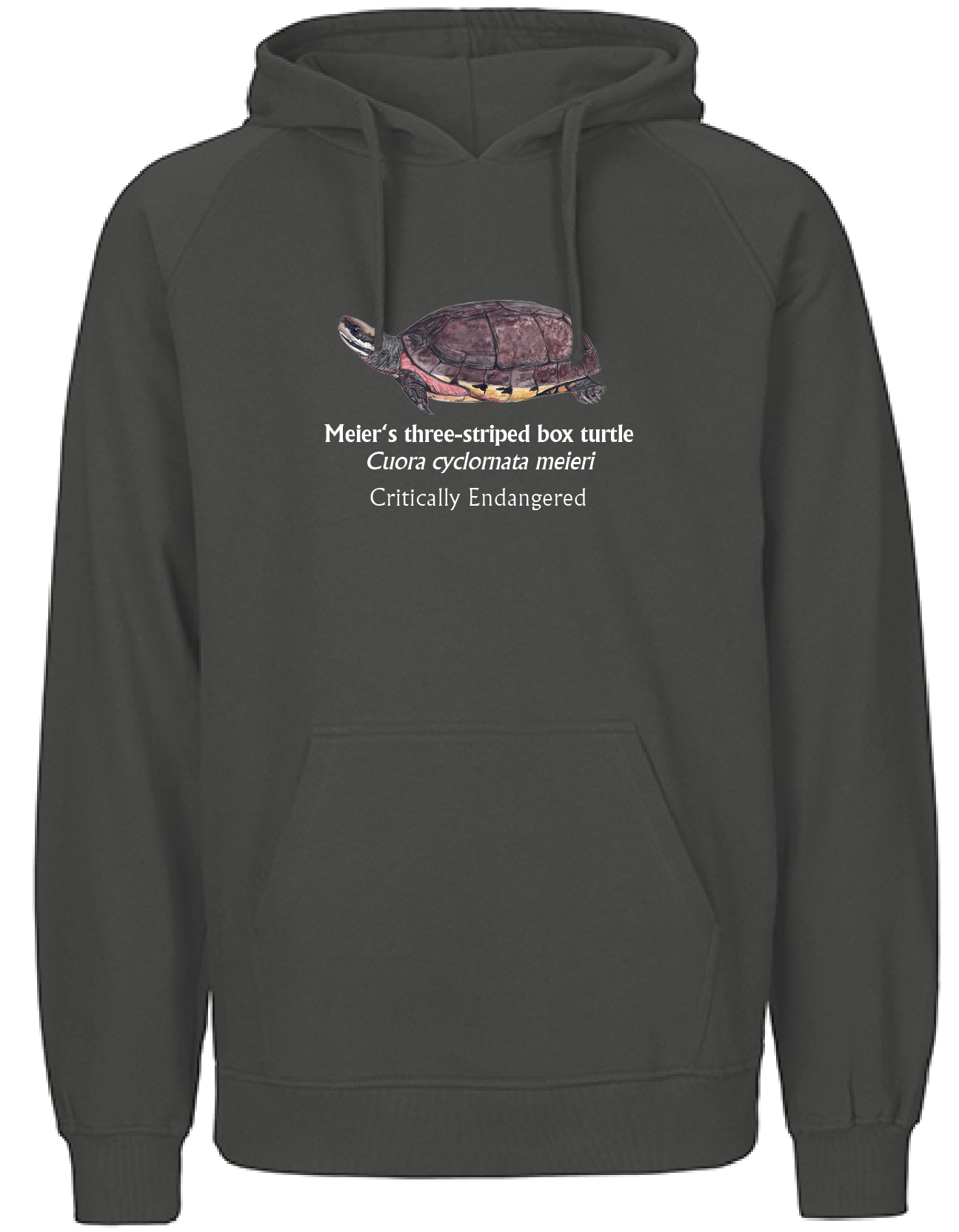 Meier's three-striped box turtle Hoodie