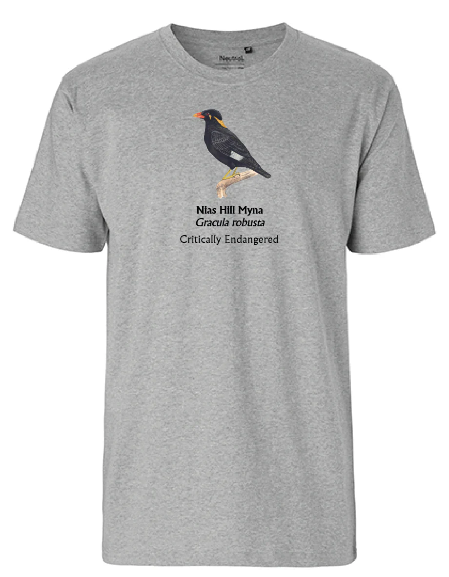 Nias Hill Myna