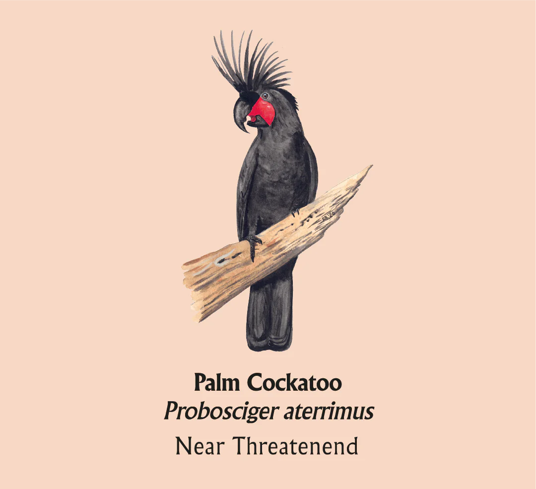 Palm Cockatoo T-Shirt