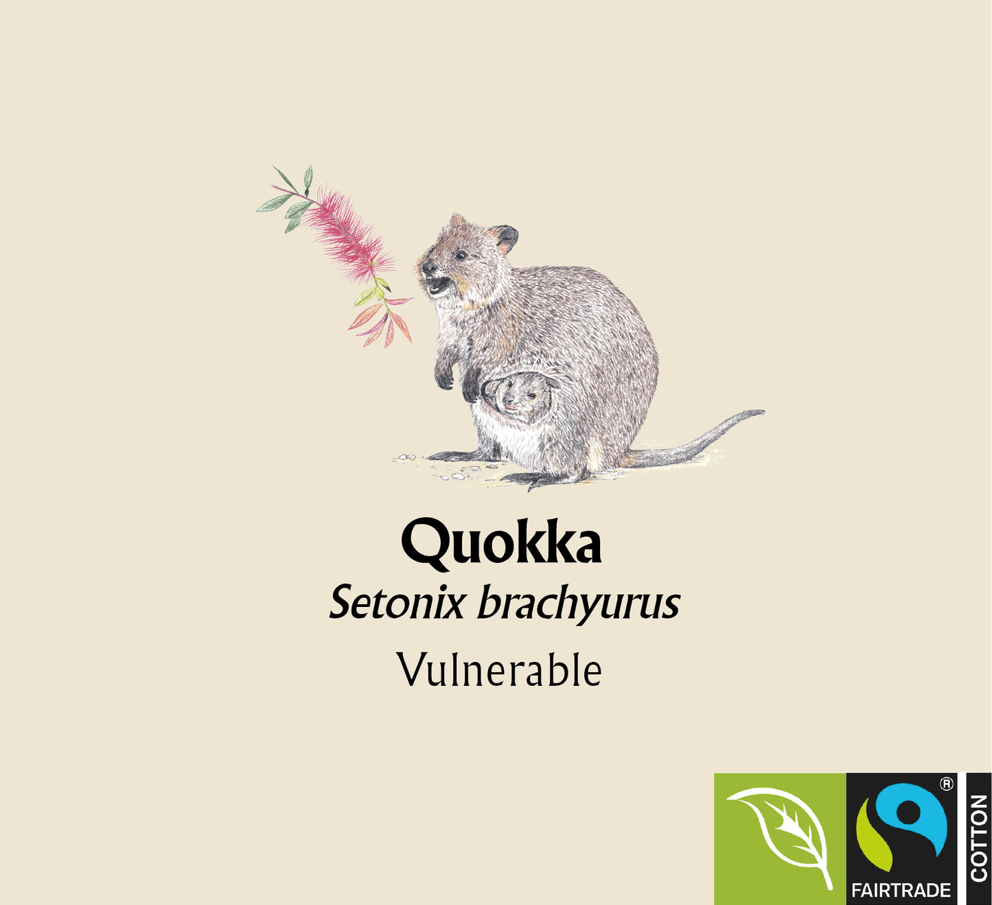 Quokka Hoodie