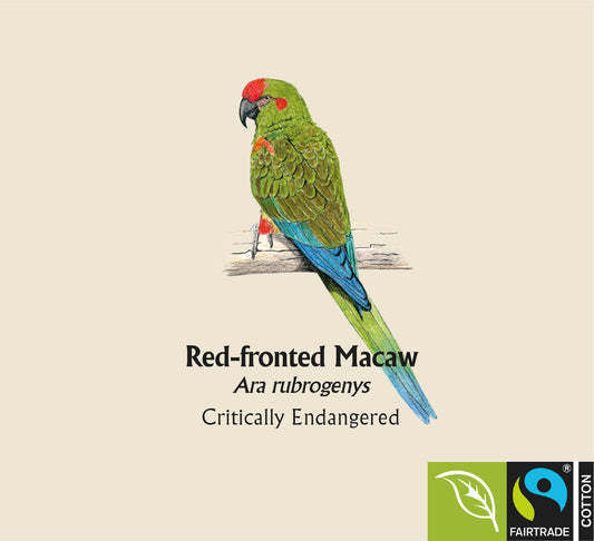 Red-fronted Macaw Hoodie
