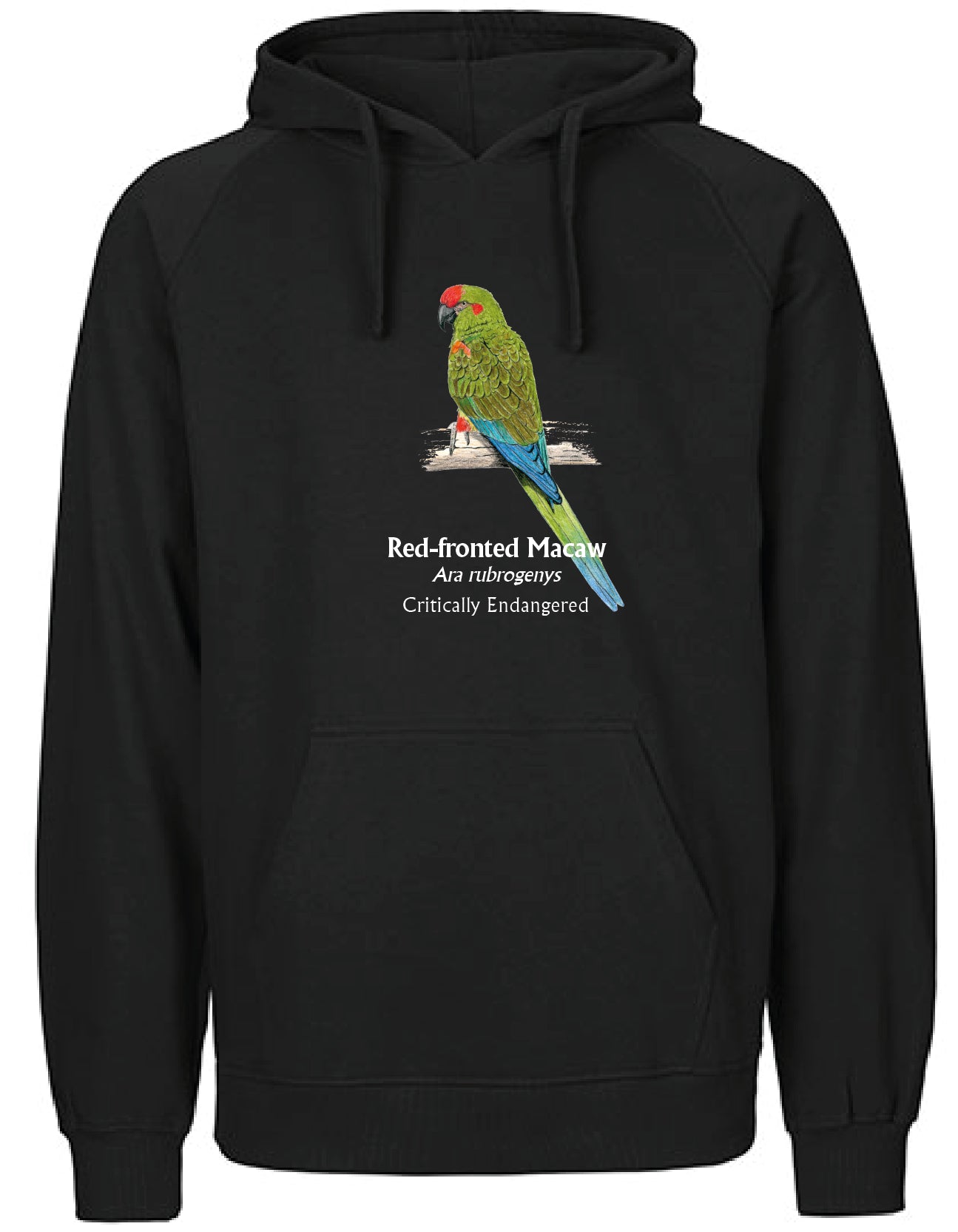Red-fronted Macaw Hoodie