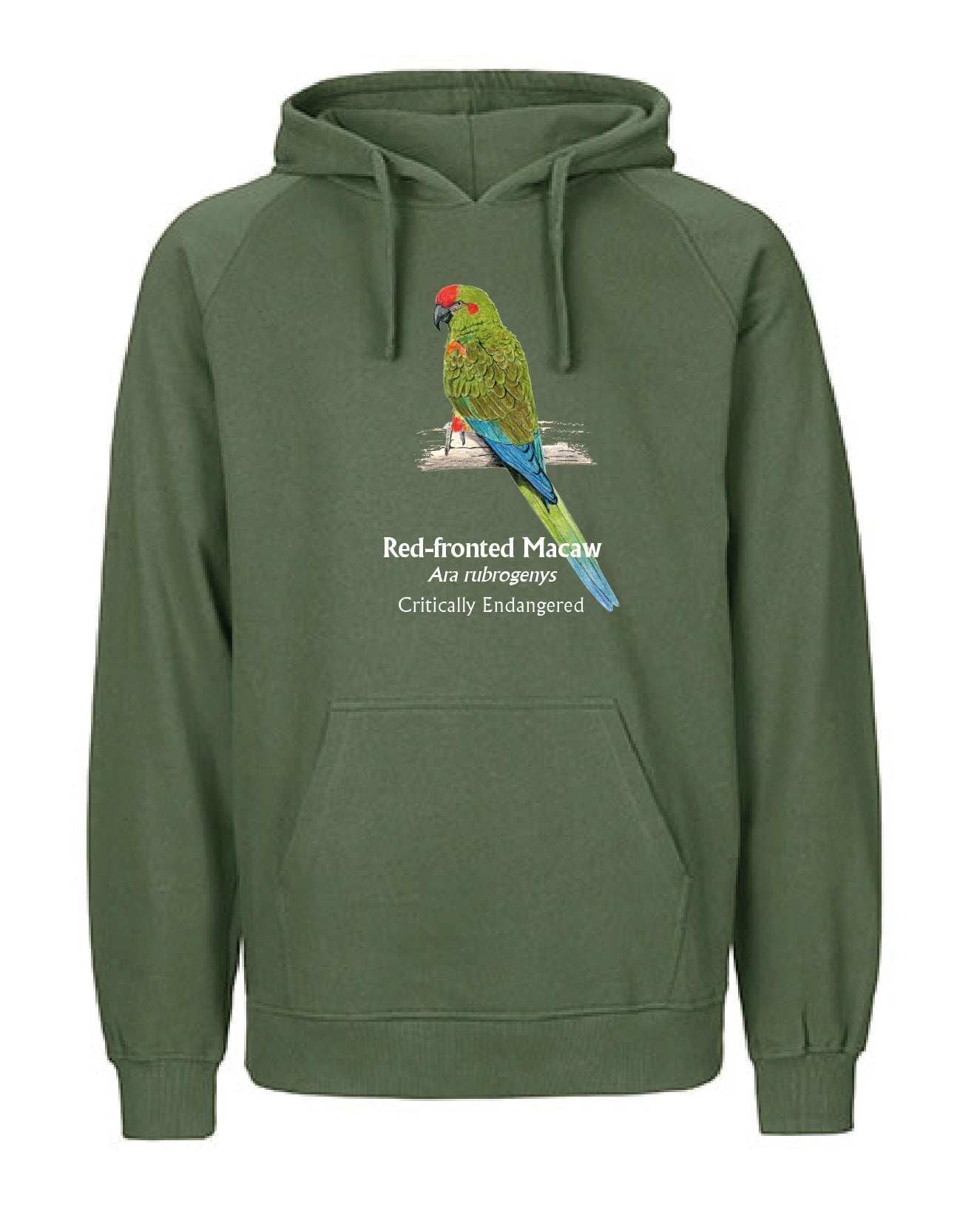 Red-fronted Macaw Hoodie