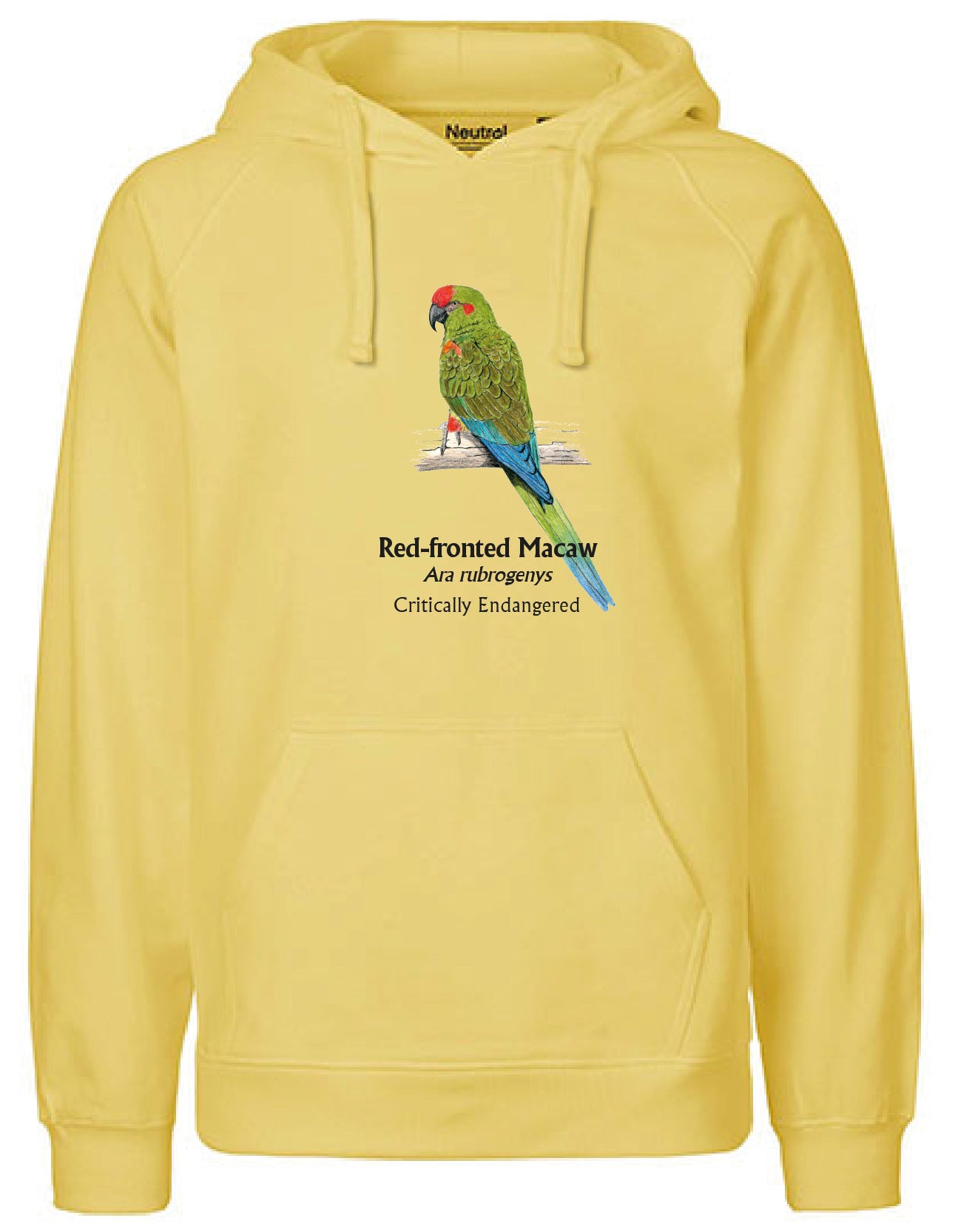 Red-fronted Macaw Hoodie