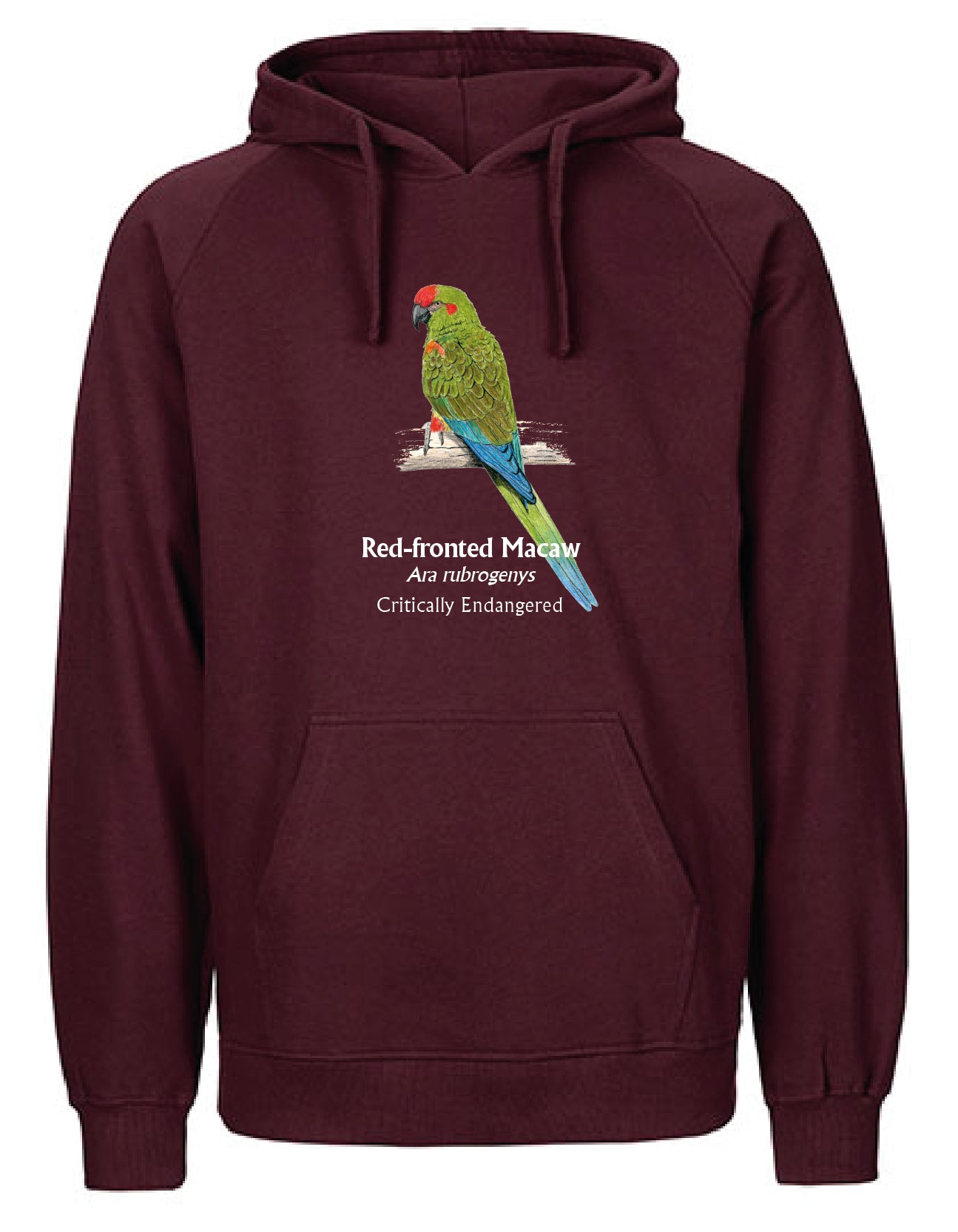 Red-fronted Macaw Hoodie