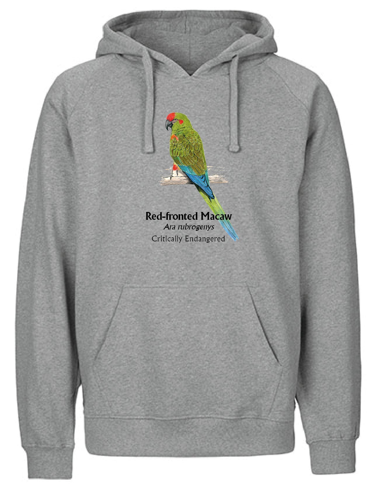 Red-fronted Macaw Hoodie