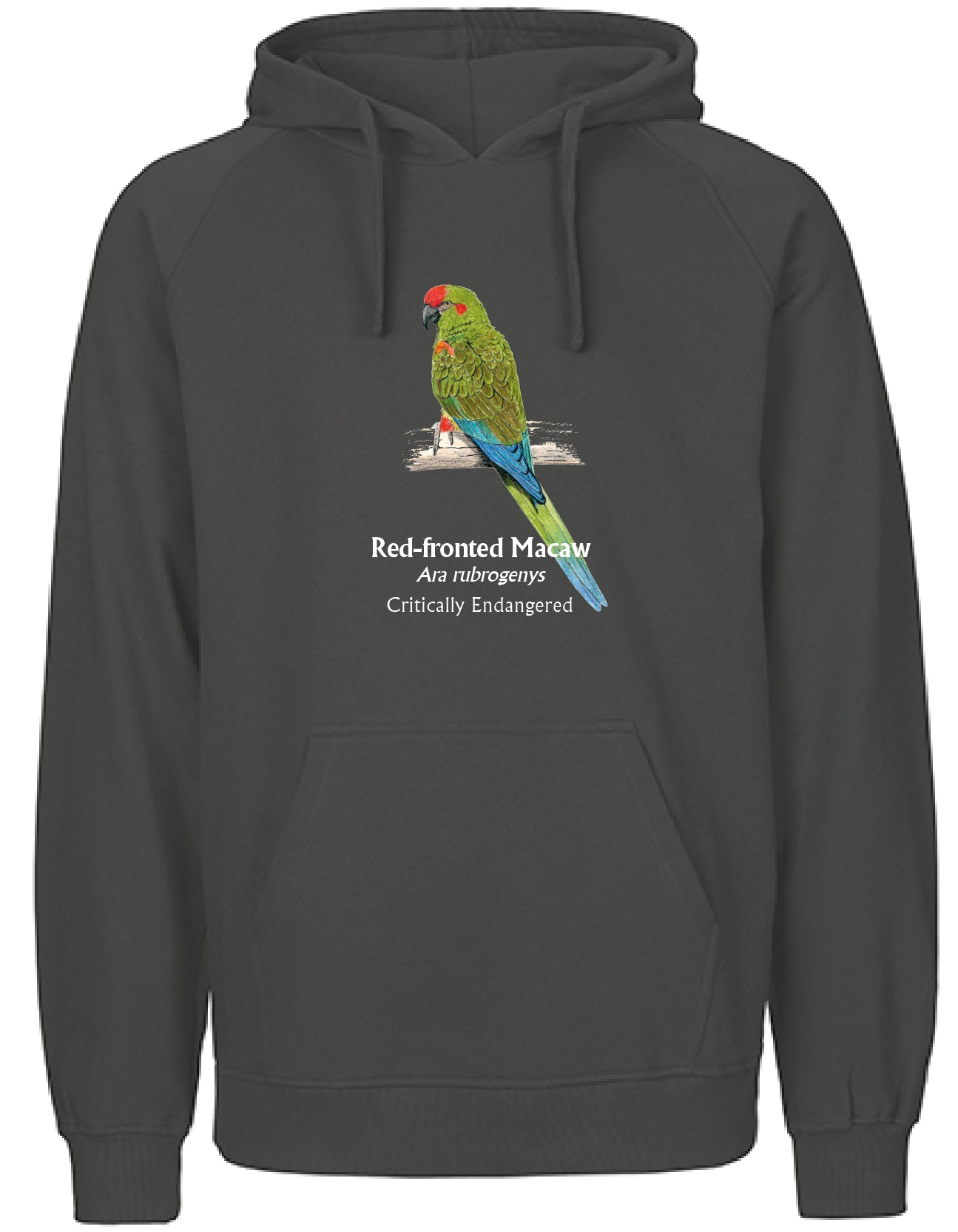Red-fronted Macaw Hoodie