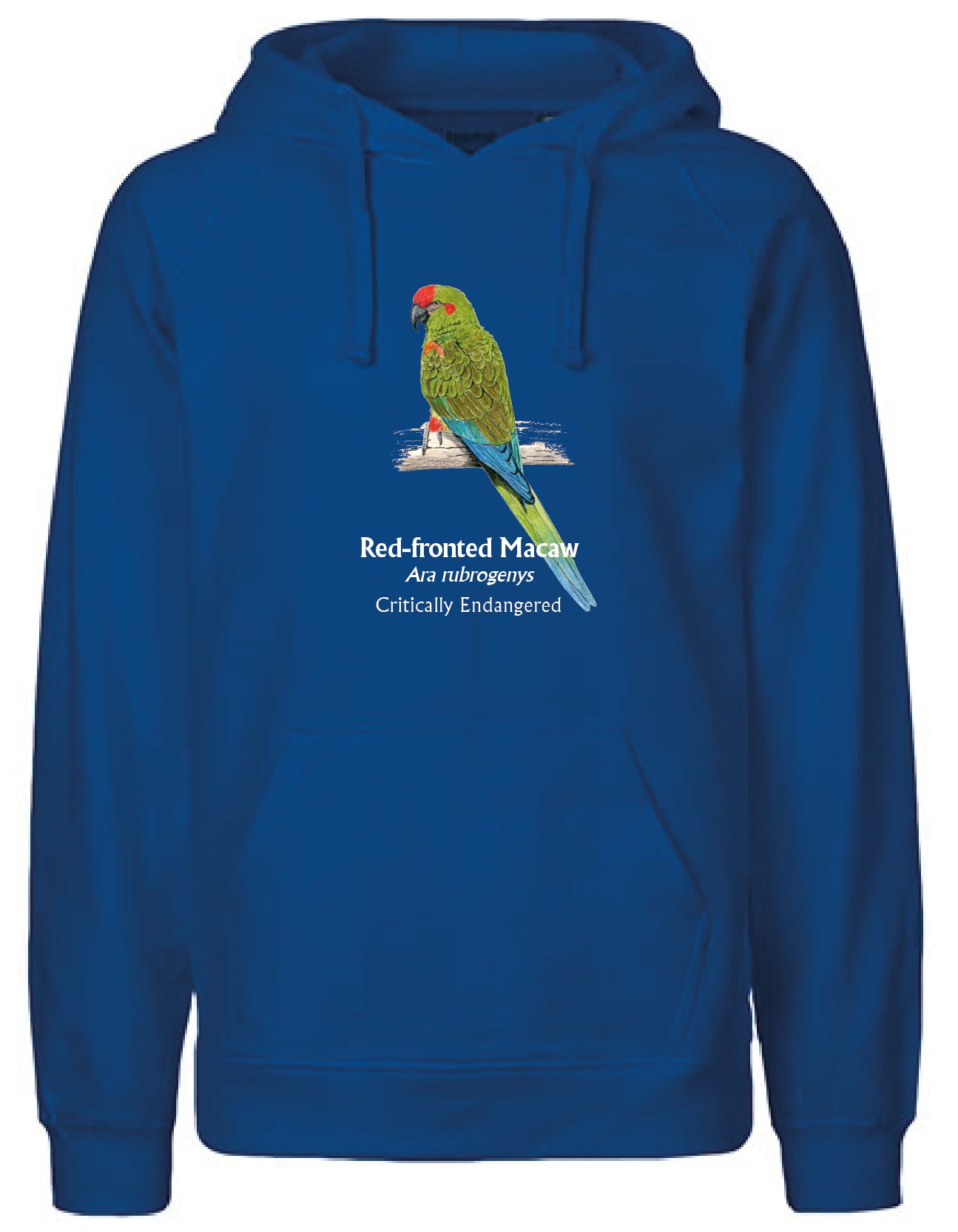 Red-fronted Macaw Hoodie
