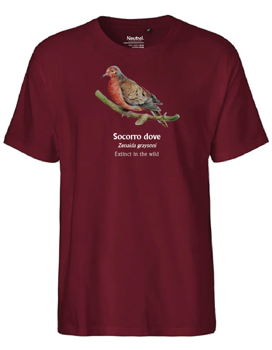Socorro Dove T-Shirt