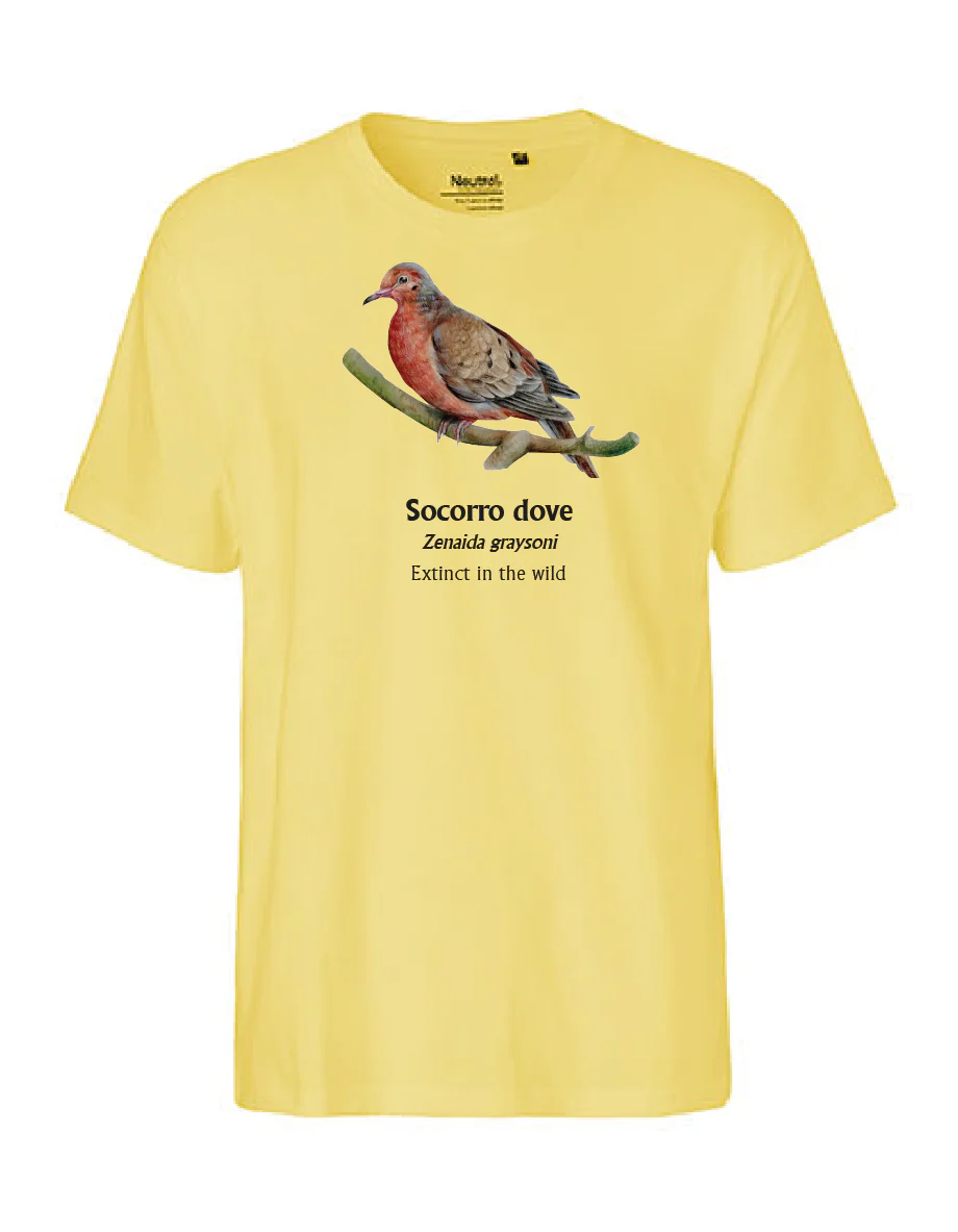 Socorro Dove T-Shirt