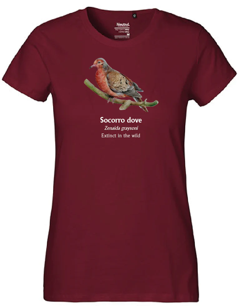 Socorro Dove T-Shirt