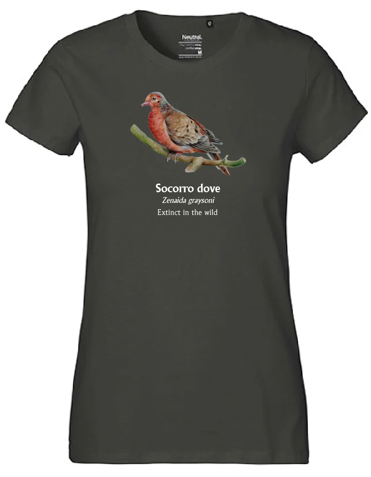 Socorro Dove T-Shirt