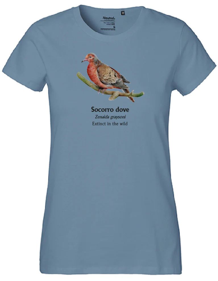 Socorro Dove T-Shirt