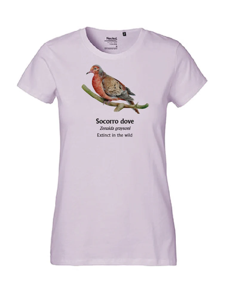 Socorro Dove T-Shirt