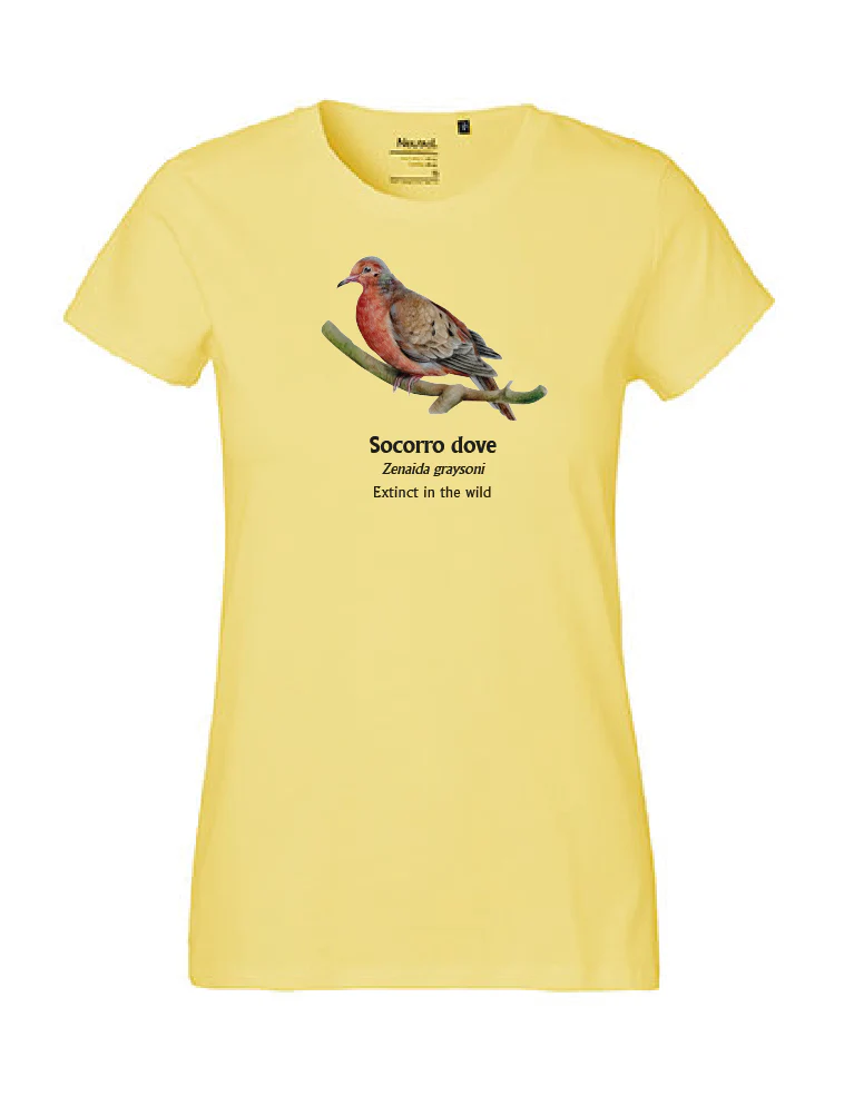 Socorro Dove T-Shirt