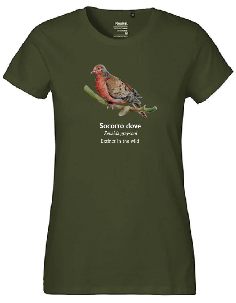 Socorro Dove T-Shirt