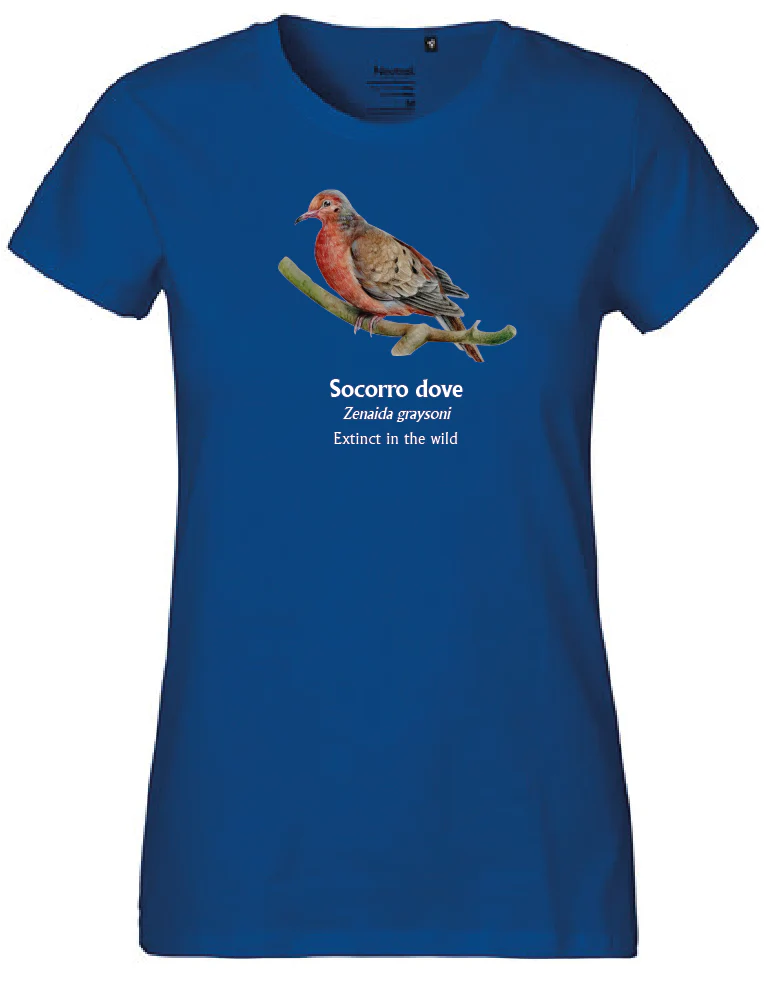 Socorro Dove T-Shirt