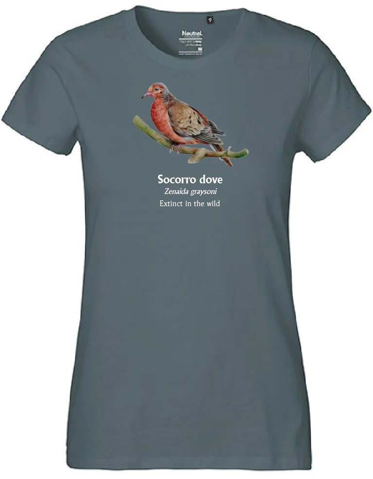 Socorro Dove T-Shirt
