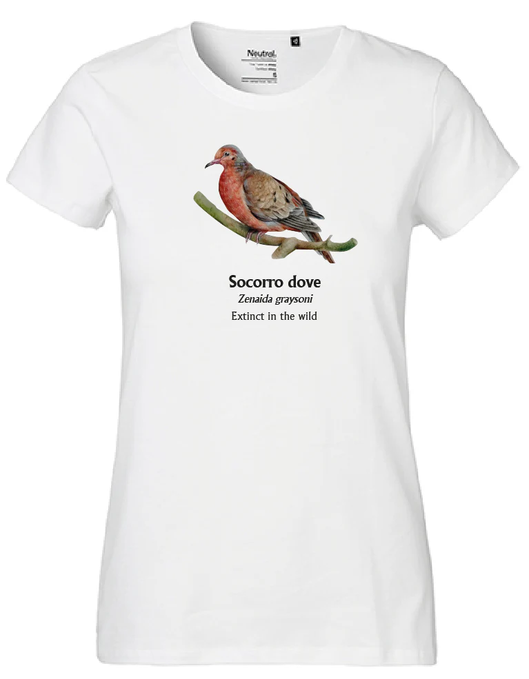 Socorro Dove T-Shirt