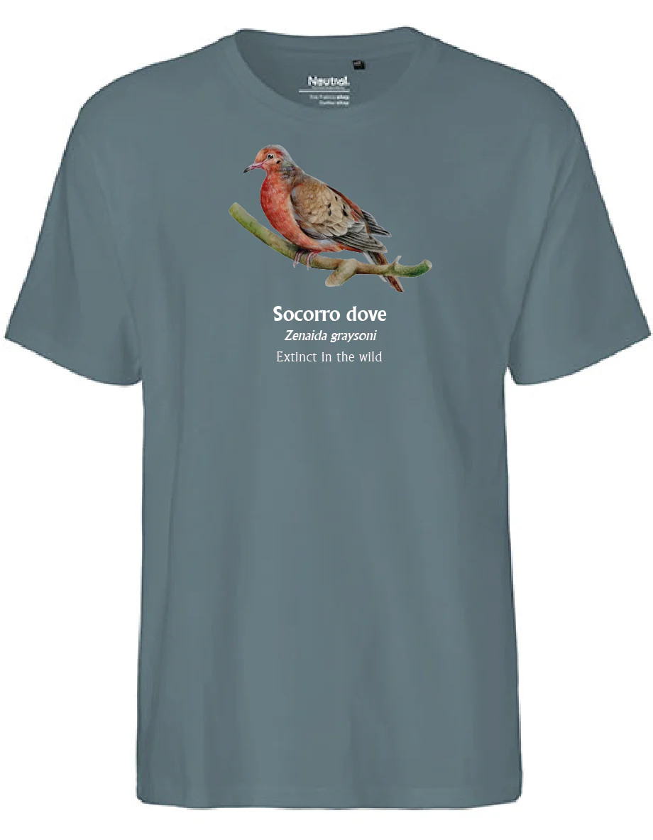Socorro Dove T-Shirt