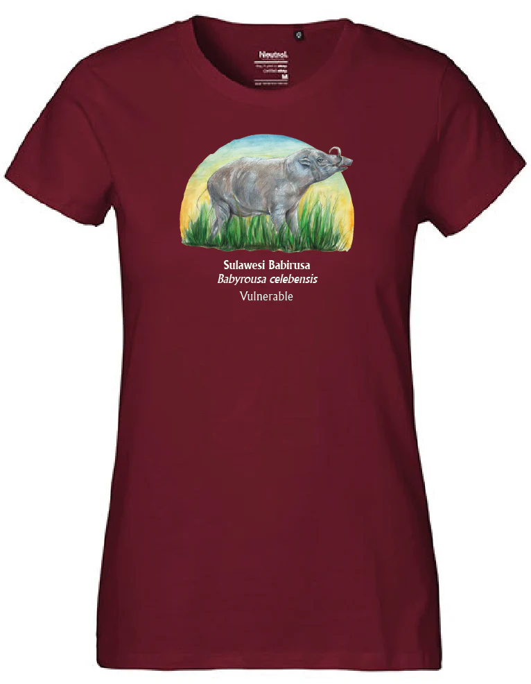 Sulawesi Babirusa