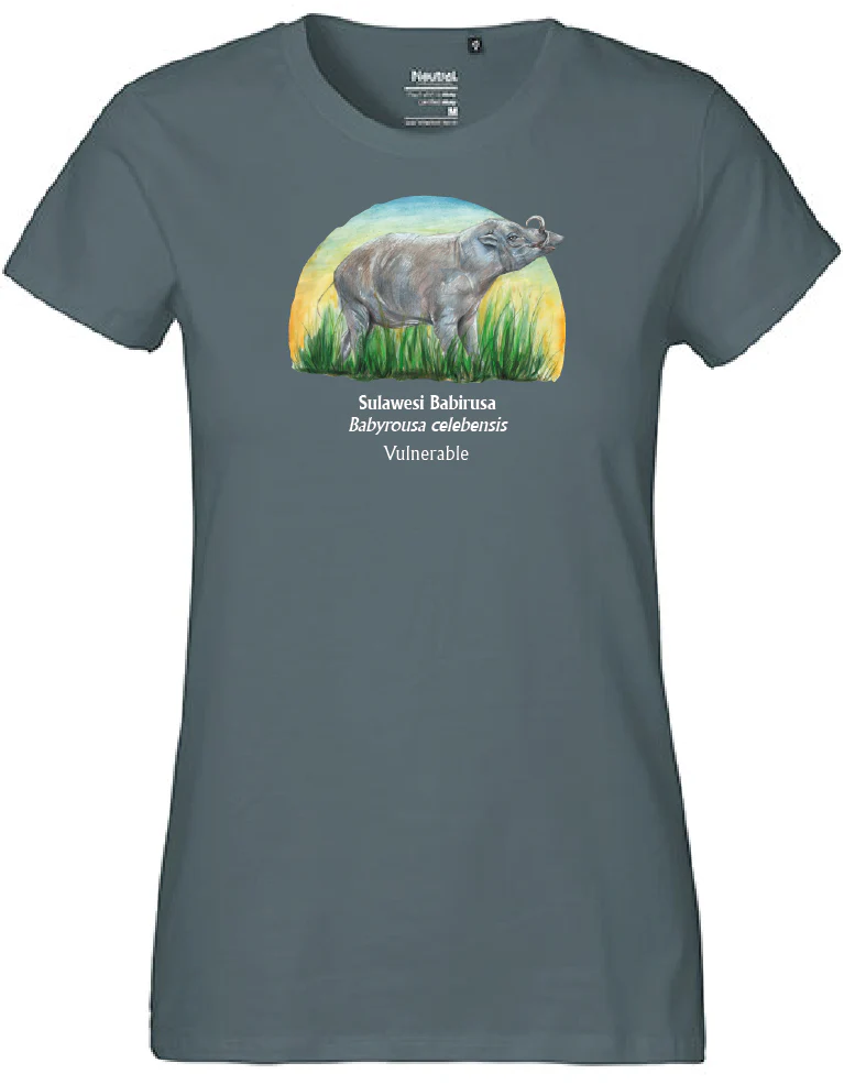Sulawesi Babirusa