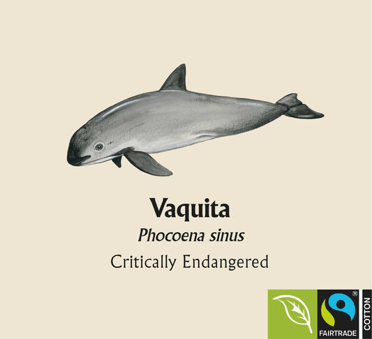 Vaquita Hoodie