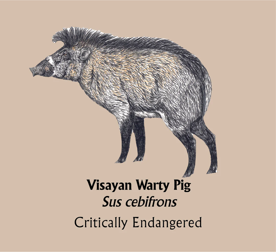 Visayan Warty Pig T-Shirt