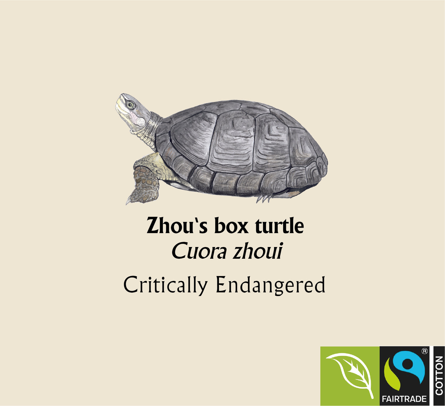 Zhou's box turtle Hoodie