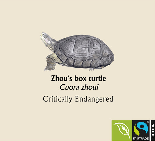 Zhou's box turtle Hoodie